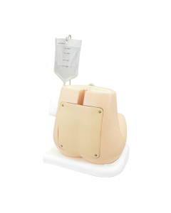 M43B

Lumbar Puncture Simulator IIA