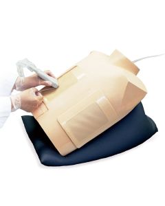 MW17 Ultrasound-Guided Thoracentesis/ Pericardiocentesis Simulator
