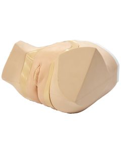 MW52 Female Catheterization / Enema Simulator