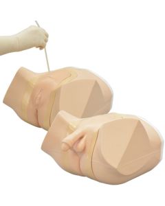 MW59 Suprapubic Catheter Care Simulator - Female