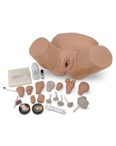 Life/form Advanced Pelvic Examination and Gynaecological Simulator