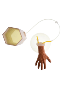 IV Hand Trainer