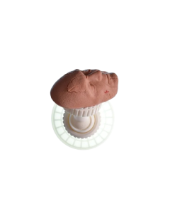 Facial Suturing Trainer