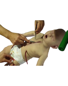 HARLEY2 - 3 Year Old Resternomy Manikin