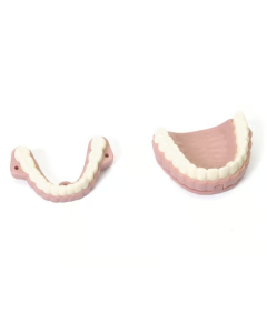 Laerdal Teeth & Audio Signal Device