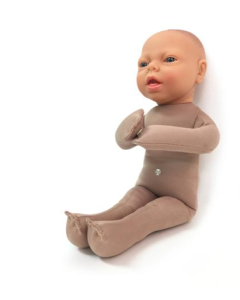 Fetus Model