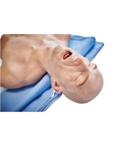 Lifecast ALS Adult Male Torso with Carry Bag and Wheels