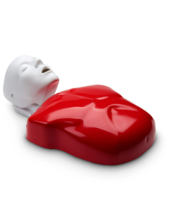 BASIC BUDDY CPR Torso Training