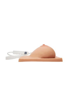 Breast with lactation for breastfeeding training